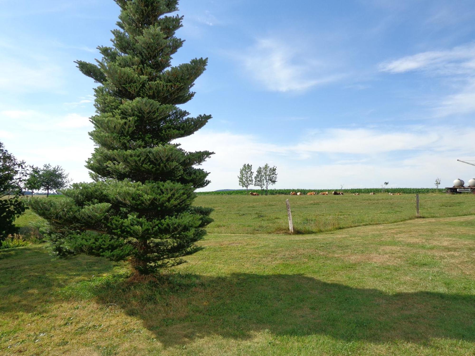 Markersdorf Pension Sonnenhuegel מראה חיצוני תמונה