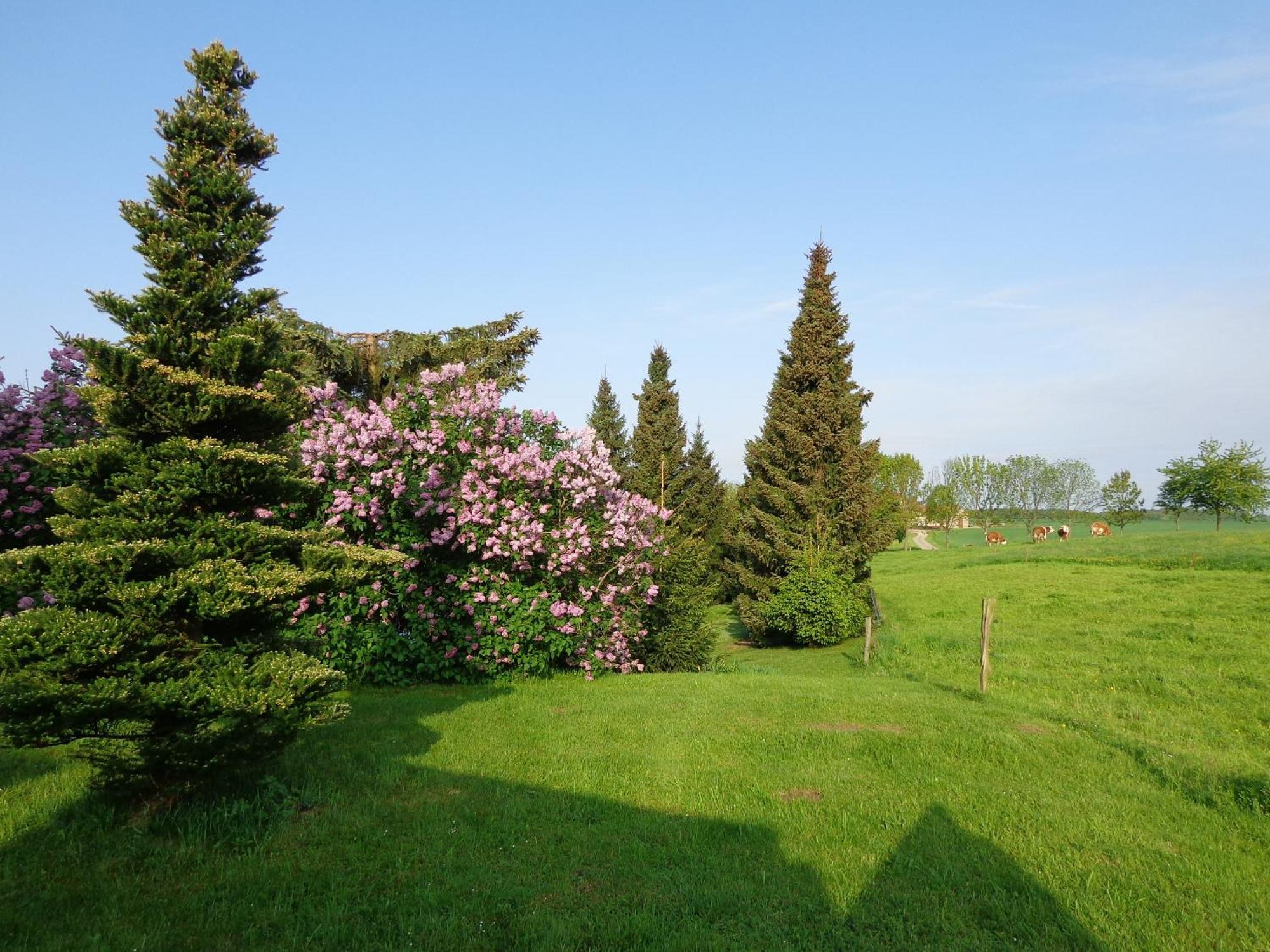 Markersdorf Pension Sonnenhuegel מראה חיצוני תמונה