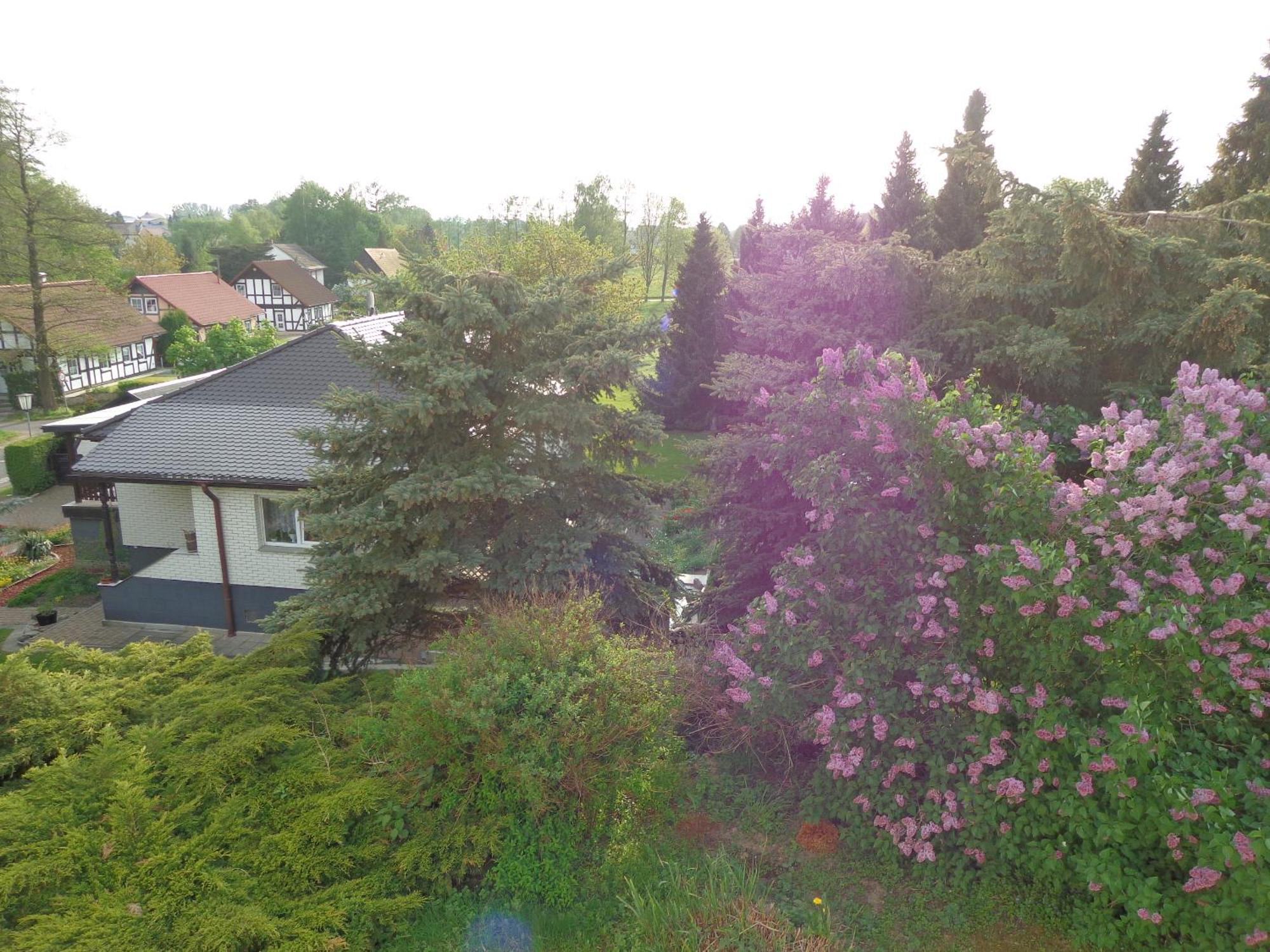 Markersdorf Pension Sonnenhuegel מראה חיצוני תמונה